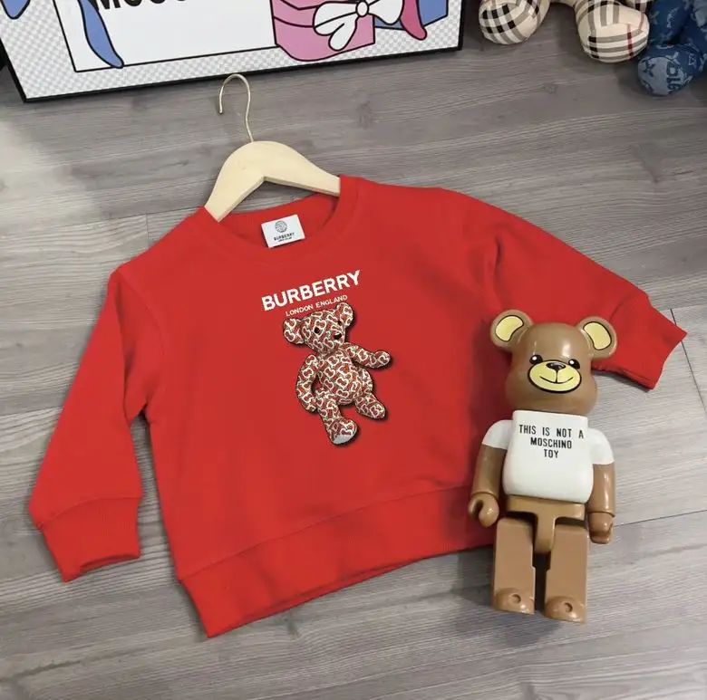 Burberry sz80-150  (11)